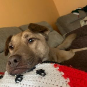 Meet your Posher, Sam